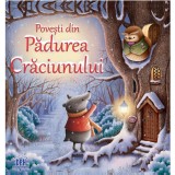 Povesti din Padurea Craciunului (Caiet de Activitati) - Suzy Senior, James Newman Gray, Didactica Publishing House