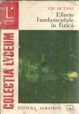Cumpara ieftin Efecte fundamentale in fizica - Gheorghe Hutanu