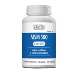 MSM 500 Zenyth 60cps, Zenyth Pharmaceuticals