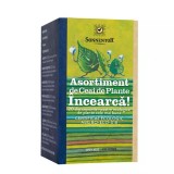 Ceai Incearca Asortiment de Plante Bio 20 plicuri Sonnentor