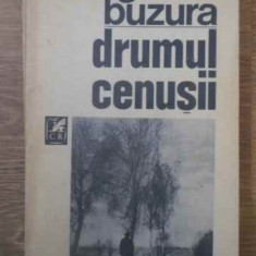 DRUMUL CENUSII-AUGUSTIN BUZURA