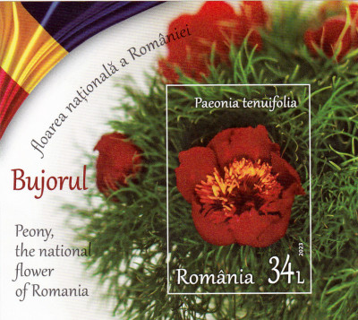ROMANIA 2023 - BUJORUL, FLOAREA NATIONALA, COLITA, MNH - LP 2418a foto