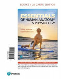Essentials of Human Anatomy &amp; Physiology, Books a la Carte Edition