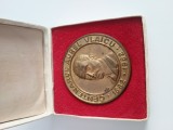 aviatie AUREL VLAICU -CENTENARUL AUREL VLAICU 1882-1982.Medalie bronz