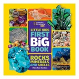 Little kids first big book: rocks, minerals, and shells