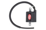 Cumpara ieftin Bobina de aprindere pentru SUZUKI VS 1400 1987-2003