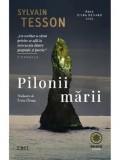 Cumpara ieftin Pilonii marii/Sylvain Tesson