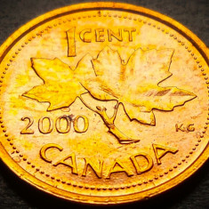 Moneda 1 CENT - CANADA, anul 2000 * cod 4052 B