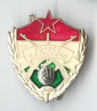 Insigna EGYSEG BAJNOKSAG - Fotbal Ungaria