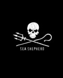 Sea Shepherd: 40 Years: The Official Book | David Hance, 2019, Skira Editore