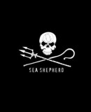 Sea Shepherd: 40 Years: The Official Book | David Hance