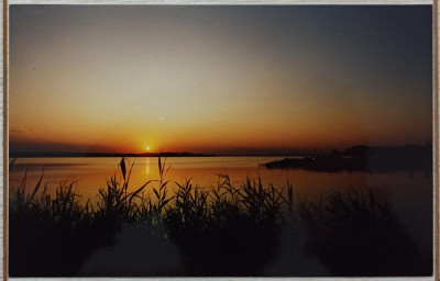 Peisaj din Delta Dunarii// fotografie de presa anii &amp;#039;90-2000 foto