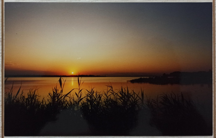 Peisaj din Delta Dunarii// fotografie de presa anii &#039;90-2000