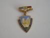 Insigna Comunista Fruntas Gospodarirea Orasului 1979, QW9 L 9, Colectie, Ordine si Decoratii, Tematica Comunism