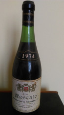 VIN DE COLECTIE MOSCATO 1974 foto