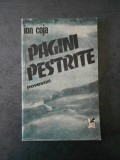 ION COJA - PAGINI PESTRITE