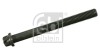 FEBI BILSTEIN 11725 surub chiulasa