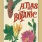 Atlas botanic - Paulina Anastasiu
