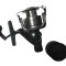 Mulineta crap tectonic HT606A