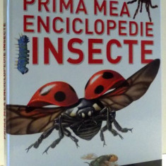 PRIMA MEA ENCICLOPEDIE, INSECTE de ROBERT COUPE, HELEN FLINT, DENISE RYAN , 2017 * PREZINTA HALOURI DE APA