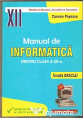 carmen popescu manual de informatica xii foto