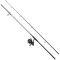 Combo MITCHELL Catch Pro II Carp Combo, 3.00lbs, 3.00m, 2seg