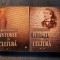 Istorie si cultura Dan Zamfirescu 2 volume