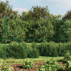 VidaXL Gard plasă de s&acirc;rmă cu țăruși de fixare, verde, 1,4x25 m