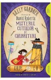 Aripi si Co. Vol.4: Misterul cutiilor de chibrituri - Sally Gardner, David Roberts