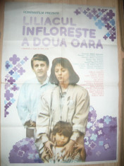 Afis Film -Liliacul infloreste a doua oara-1988 regizor C Nichitu?, cu E Popescu foto