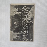 Carte postala Pacea de la Bucuresti , iulie 1913 , BANCHETUL PRIMARIEI BUCURESTI