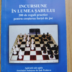 FLORIN VOICULESCU - INCURSIUNE IN LUMEA SAHULUI - 200 DE REGULI PRACTICE - 2005