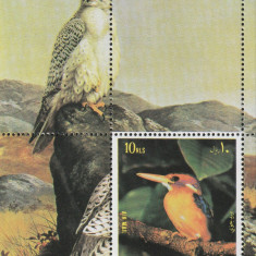 Fujeira 1992-Fauna,Pasari,colita,dantelata,MNH,Mi.Bl.138A