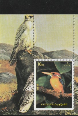 Fujeira 1992-Fauna,Pasari,colita,dantelata,MNH,Mi.Bl.138A foto