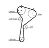 GATES 5675XS PowerGrip&reg; Curea de distributie