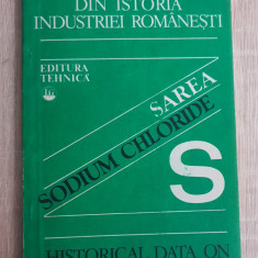 Din istoria industriei românești: Sarea / Sodium Chloride - Anton Constantinescu