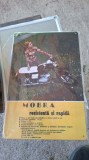 Reclama metalica Motoreta Mobra