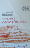 Scrisori Catre Fiul Meu - Gabriel Liiceanu ,558100