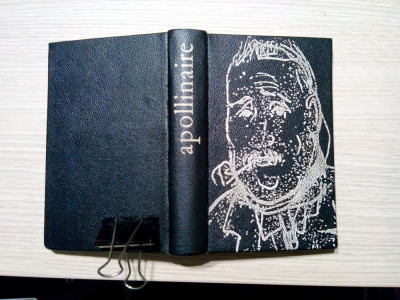 GUILLAUME APOLLINAIRE - Scrieri Alese - Virgil Teodorescu (editie) - 1971, 588p foto