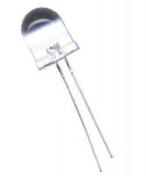 LED 10mm 12V albastru, Oem