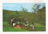 RF89 - Carte Postala - La cules de mere la Simleu Silvaniei, circulata 1974