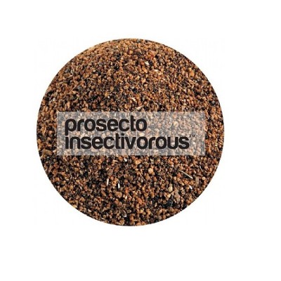 Prosecto Insectivorous Haiths foto