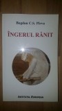 Ingerul ranit- Bogdan C.S. Pirvu