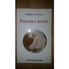 Ingerul ranit- Bogdan C.S. Pirvu