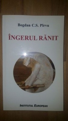 Ingerul ranit- Bogdan C.S. Pirvu foto