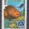 ROMANIA 1998 LP 1464 ANUL INTERNATIONAL AL OCEANULUI MNH