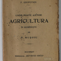 UNDE POATE AJUNGE AGRICULTURA de P. KROPOTKIN , in romaneste de P. MUSOIU , INCEPUTUL SEC. XX