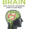 Biology of the Brain: How Your Gut Microbiome Affects Your Brain