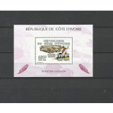 COASTA DE FILDES 2005 FAUNA MARINA BALENE