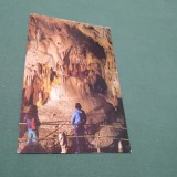 Cumpara ieftin CARTE POSTALA BIHOR-PESTERA URSILOR CHISCAU NECIRCULATA